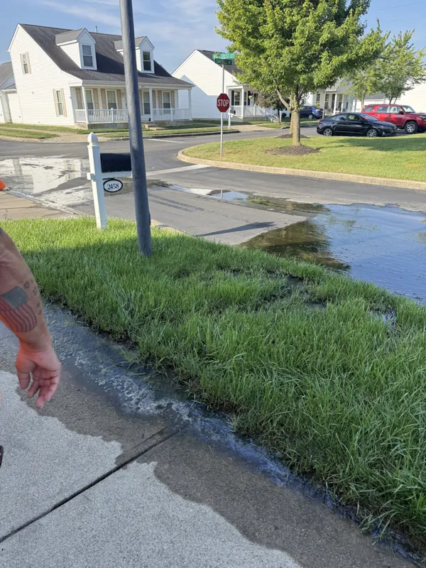 A wet tree lawn and sidewalk where a water service is leaking underground