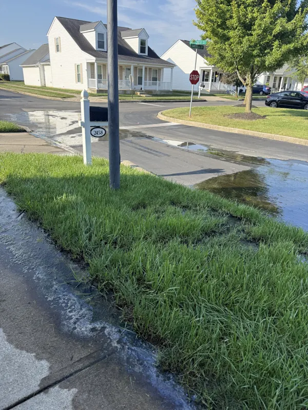 Water pooling along a curb and sidewalk from a leaking water service