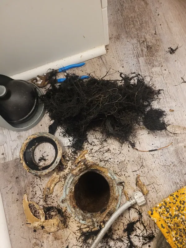 A large mass of hair and root debris pulled out of a drain line beside an open flange