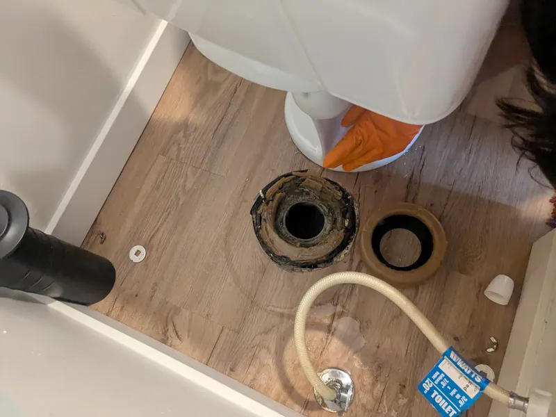 A toilet pulled from its flange with the drain line open and a hose fed into it