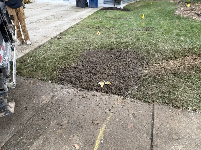 A lawn backfilled and graded along a sidewalk after a line replacement