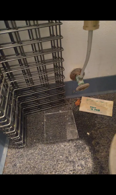 An old toilet supply line and stop behind a bathroom radiator