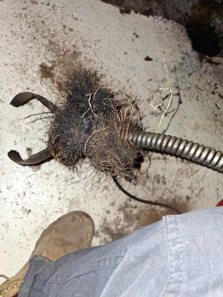 Ongoing rooter services